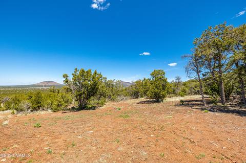 803 E Longpoint Vis, Williams, AZ 86046 photo 53