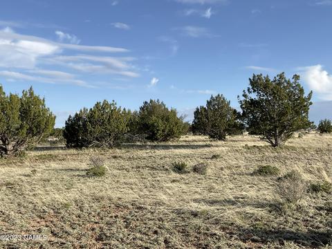 3672 W Singletree Rd #339, Williams, AZ 86046