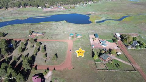 221 Anglers Loop #2, Mormon Lake, AZ 86038