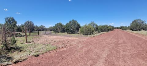 68 W Teddy Ln, Williams, AZ 86046