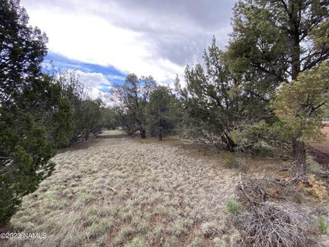 7185 N Audrey Way #306, Williams, AZ 86046