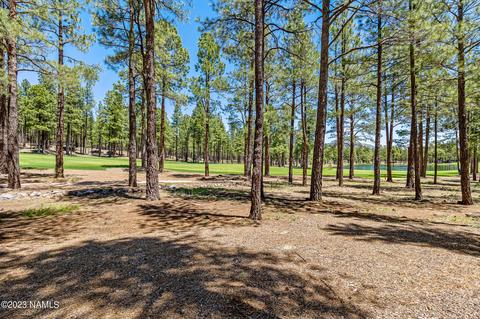 4640 W Braided Rein, Flagstaff, AZ 86005