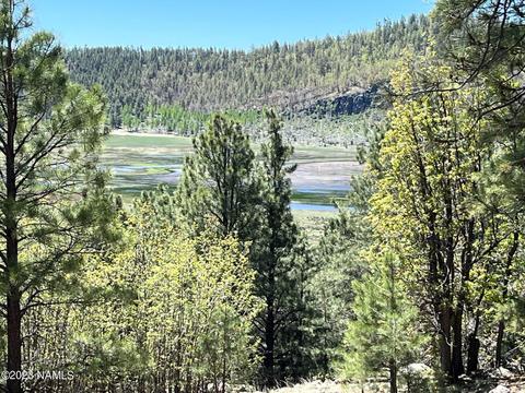 4995 W Braided Rein #LOT 42, Flagstaff, AZ 86005