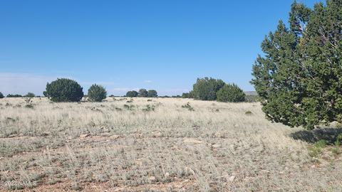 3119 Jackrabbit Dr, Williams, AZ 86046 photo 8