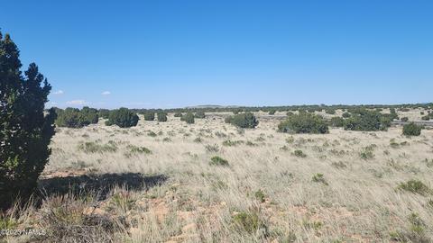 3119 Jackrabbit Dr, Williams, AZ 86046 photo 21