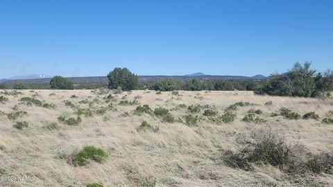3119 Jackrabbit Dr, Williams, AZ 86046 photo 11