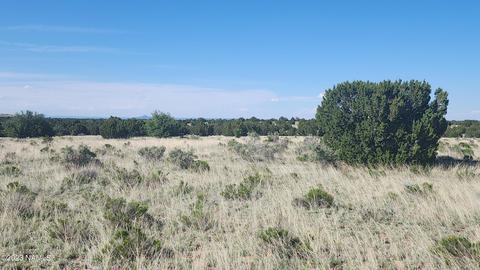 3119 Jackrabbit Dr, Williams, AZ 86046 photo 18