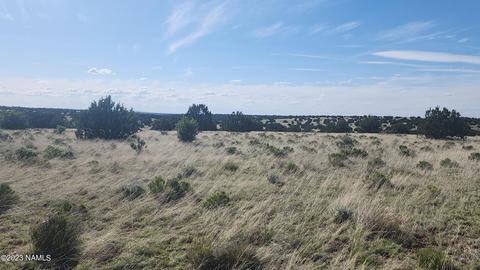 3119 Jackrabbit Dr, Williams, AZ 86046 photo 13