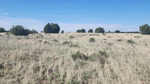 3119 Jackrabbit Dr, Williams, AZ 86046 photo 7