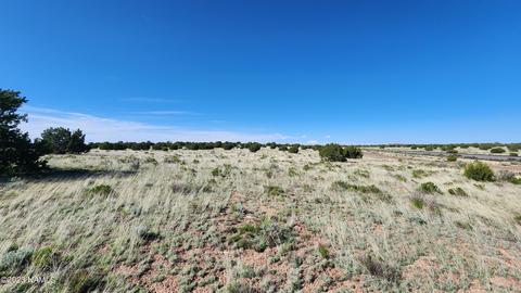 3119 Jackrabbit Dr, Williams, AZ 86046 photo 23