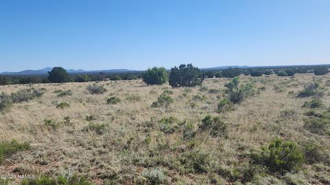 3119 Jackrabbit Dr, Williams, AZ 86046 photo 14