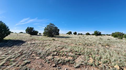 3119 Jackrabbit Dr, Williams, AZ 86046 photo 4