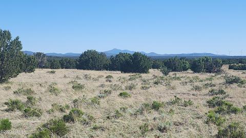 3119 Jackrabbit Dr, Williams, AZ 86046 photo 12