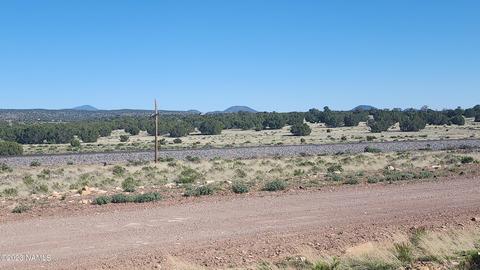 3119 Jackrabbit Dr, Williams, AZ 86046 photo 25