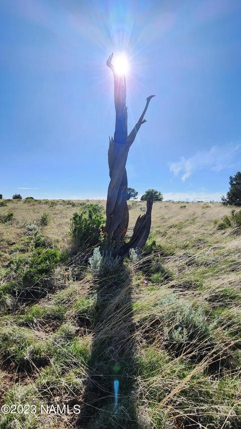 3119 Jackrabbit Dr, Williams, AZ 86046 photo 3