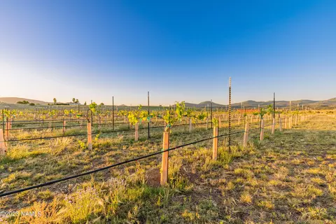 87 E Mail Trail Rd, Young, AZ 85554 photo 111