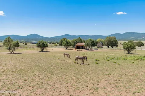 87 E Mail Trail Rd, Young, AZ 85554 photo 115