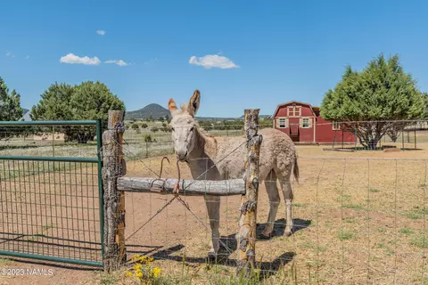 87 E Mail Trail Rd, Young, AZ 85554 photo 114