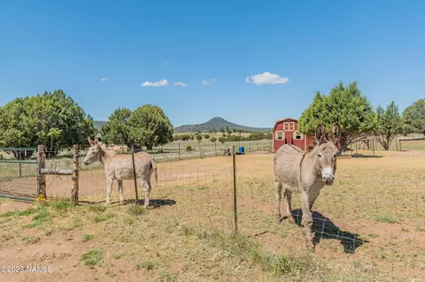 87 E Mail Trail Rd, Young, AZ 85554 photo 8