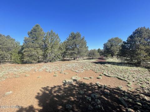 1340 E Galewood Dr, Williams, AZ 86046 photo 6
