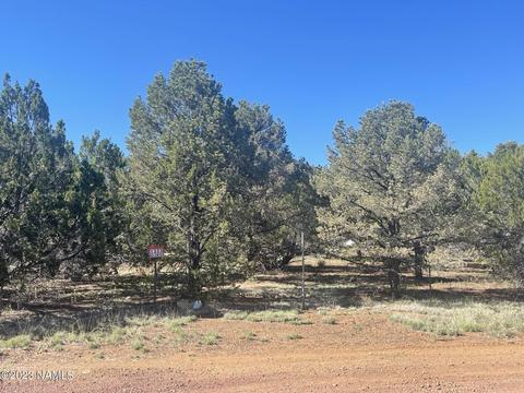 1340 E Galewood Dr, Williams, AZ 86046 photo 4