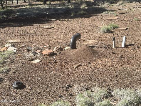 1340 E Galewood Dr, Williams, AZ 86046 photo 12