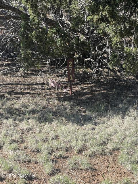 1340 E Galewood Dr, Williams, AZ 86046 photo 14