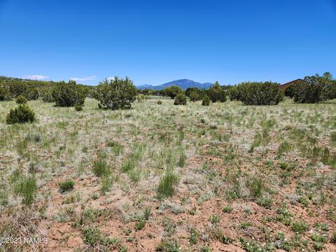 1511 E Brook Hill Rd, Williams, AZ 86046