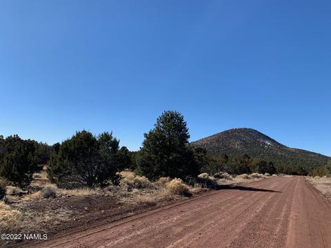 2108 E Clear Point Way #51, Williams, AZ 86046