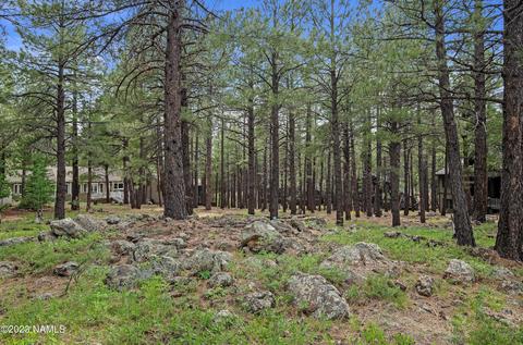 2234 Sedgwick #86, Flagstaff, AZ 86005