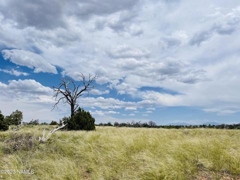 Nnnn Sublime Drive, Williams, AZ 86046