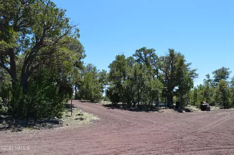183 E Black Feather Rd, Williams, AZ 86046 photo 12
