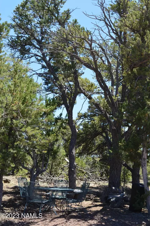 183 E Black Feather Rd, Williams, AZ 86046 photo 32