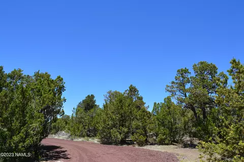 183 E Black Feather Rd, Williams, AZ 86046 photo 4