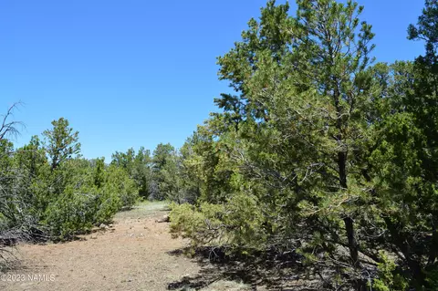 183 E Black Feather Rd, Williams, AZ 86046 photo 15