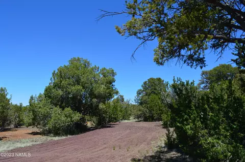 183 E Black Feather Rd, Williams, AZ 86046 photo 10