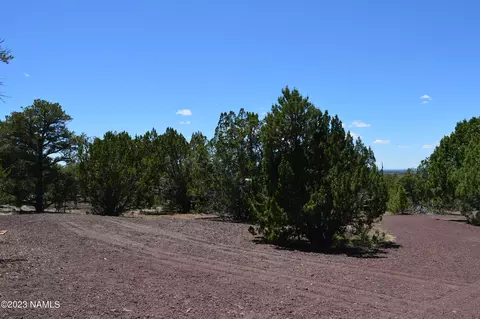 183 E Black Feather Rd, Williams, AZ 86046 photo 6