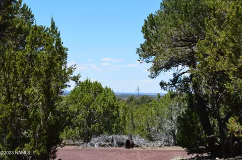 183 E Black Feather Rd, Williams, AZ 86046 photo 7