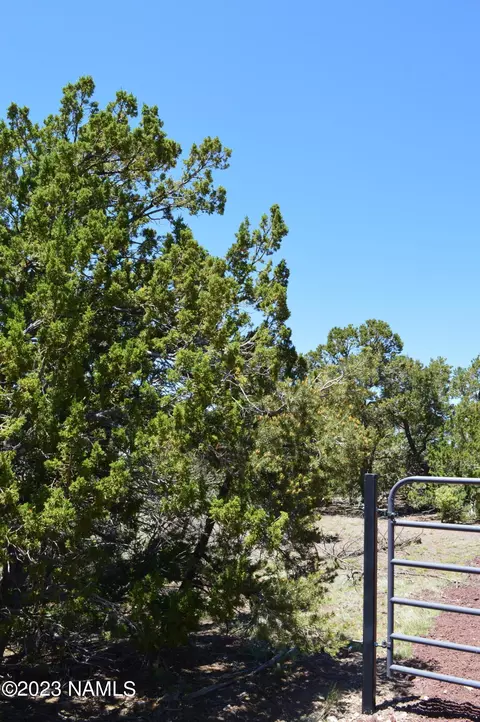 183 E Black Feather Rd, Williams, AZ 86046 photo 3