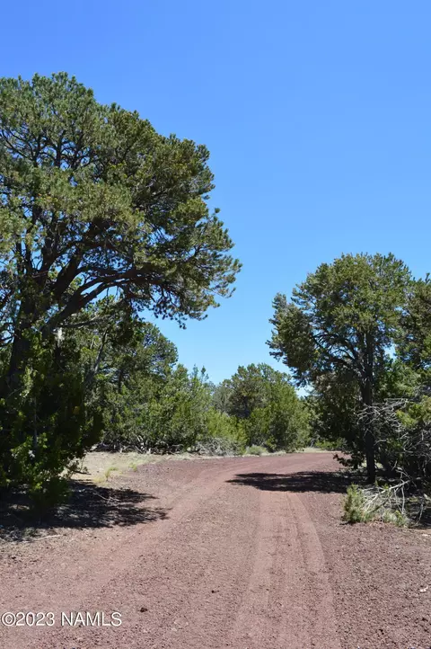 183 E Black Feather Rd, Williams, AZ 86046 photo 30
