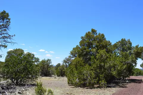 183 E Black Feather Rd, Williams, AZ 86046 photo 9