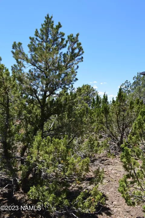183 E Black Feather Rd, Williams, AZ 86046 photo 17