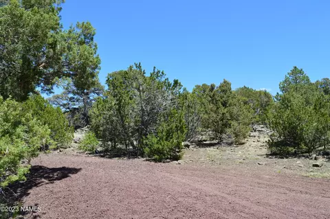 183 E Black Feather Rd, Williams, AZ 86046 photo 16