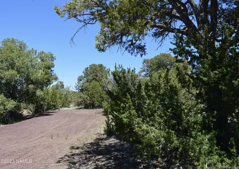 183 E Black Feather Rd, Williams, AZ 86046 photo 5