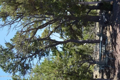 183 E Black Feather Rd, Williams, AZ 86046