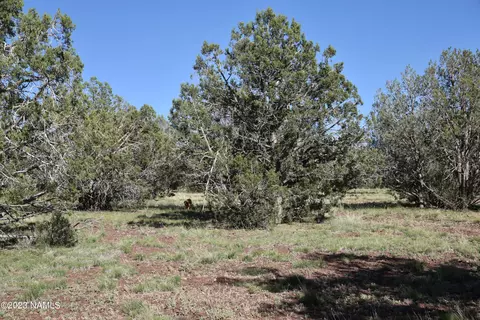 532 W Mesa Dr, Williams, AZ 86046