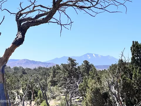 10155 Water Tank Cir, Williams, AZ 86046