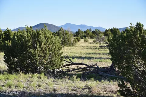 307 Mountain Cat Rd, Williams, AZ 86046