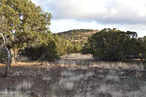 907 E Jackpine Ln #45, Williams, AZ 86046
