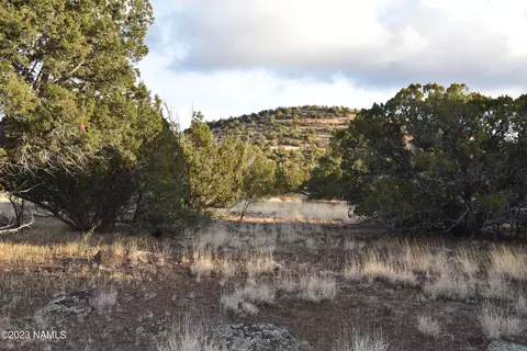 907 E Jackpine Ln #45, Williams, AZ 86046 photo 4